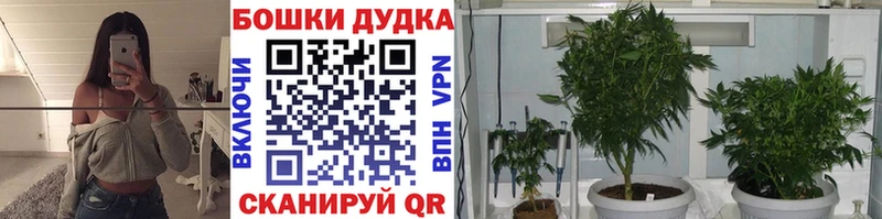 Шишки марихуана SATIVA & INDICA Новоалтайск