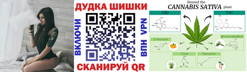 закладки  блэк спрут ONION  Каннабис индика  Новоалтайск 